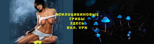 PSILOCYBIN Абинск