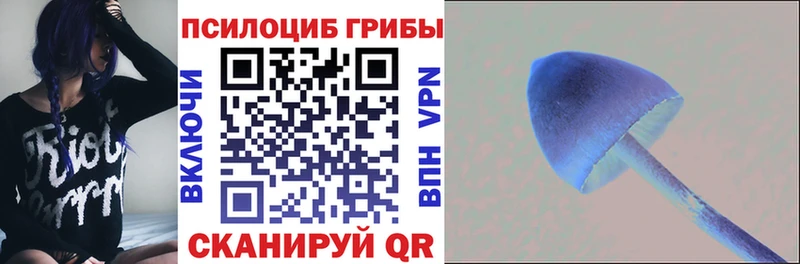 Псилоцибиновые грибы GOLDEN TEACHER  Энгельс 